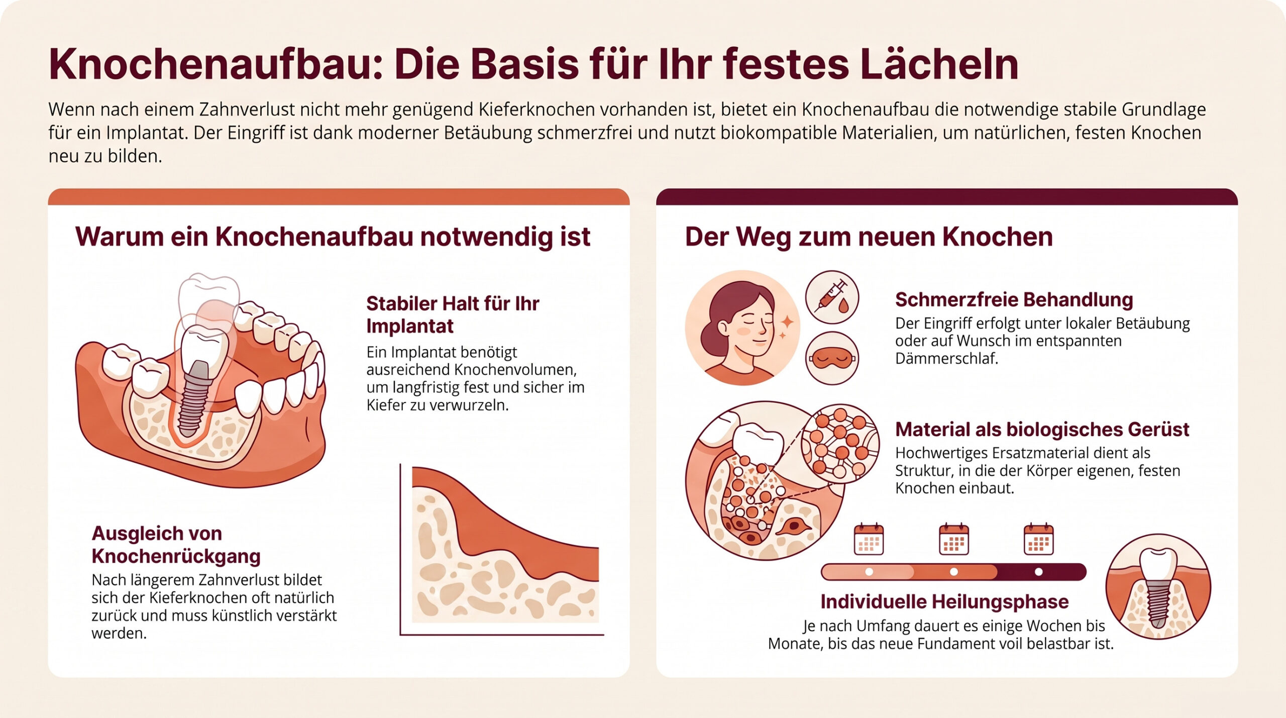 Eine Infografik auf Deutsch erklärt die Knochenaugmentation für Zahnimplantate anhand von Diagrammen, die den Kieferknochenabbau, die Behandlungsschritte, den Heilungsprozess und die Vorteile stabiler Implantate für ein dauerhaftes Lächeln veranschaulichen.
